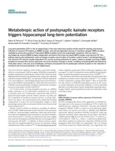nn.4505-Metabotropic action of postsynaptic kainate receptors triggers hippocampal long-term potentiation
