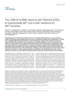 ncb3473-The LINK-A lncRNA interacts with PtdIns(3,4,5)P3 to hyperactivate AKT and confer resistance to AKT inhibitors