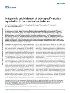 nn.4519-Ontogenetic establishment of order-specific nuclear organization in the mammalian thalamus