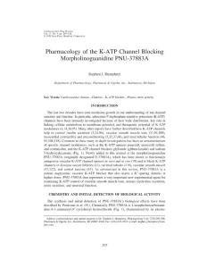 pharmacology of the k-atp channel blocking morpholinoguanidine pnu-37883a