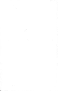 【硕士论文】鼻力宝胶囊治疗慢性鼻炎的实验研究