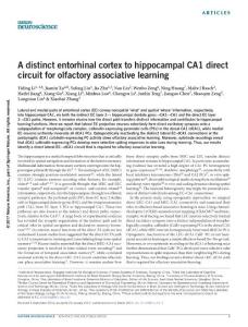 nn.4517-A distinct entorhinal cortex to hippocampal CA1 direct circuit for olfactory associative learning