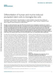 nn.4534-Differentiation of human and murine induced pluripotent stem cells to microglia-like cells