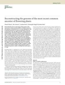 ng.3813-Reconstructing the genome of the most recent common ancestor of flowering plants