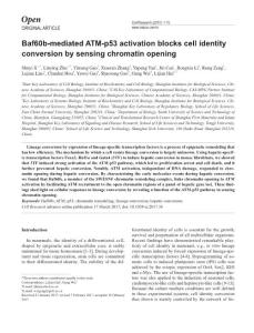cr201736a-Baf60b-mediated ATM-p53 activation blocks cell identity conversion by sensing chromatin opening