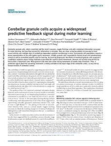 nn.4531-Cerebellar granule cells acquire a widespread predictive feedback signal during motor learning