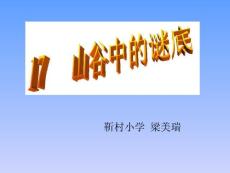 17.山谷中的谜底