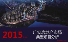 四川房地產市場典型項目分析