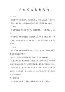 责任追究暂行规定