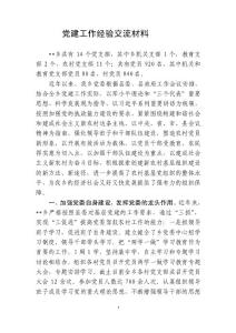 肖村乡党建工作经验交流材料