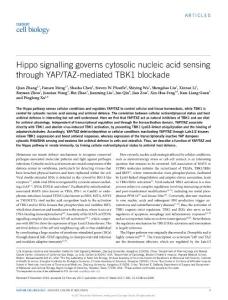 ncb3496-Hippo signalling governs cytosolic nucleic acid sensing through YAP-TAZ-mediated TBK1 blockade