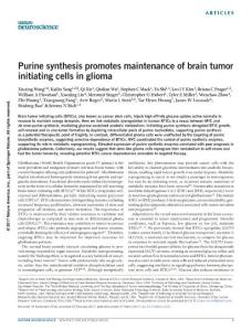 nn.4537-Purine synthesis promotes maintenance of brain tumor initiating cells in glioma