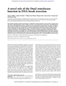 Genes Dev.-2017-Miller-A novel role of the Dna2 translocase function in DNA break resection