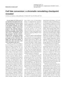 cr201744a-Cell fate conversion- a chromatin remodeling checkpoint revealed