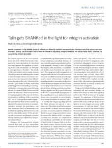 ncb3501-Talin gets SHANKed in the fight for integrin activation
