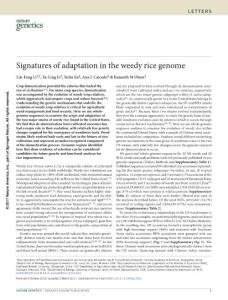 ng.3825-Signatures of adaptation in the weedy rice genome