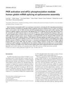 cr201739a-PKR activation and eIF2α phosphorylation mediate human globin mRNA splicing at spliceosome assembly