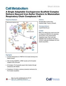 Cell Metabolism-2017-A Single Adaptable Cochaperone-Scaffold Complex Delivers Nascent Iron-Sulfur Clusters to Mammalian Respiratory Chain Complexes I–III