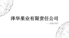 优秀创业项目1-1