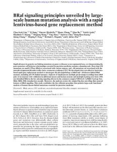 Genes Dev.-2017-Lim-537-52-BRaf signaling principles unveiled by large-scale human mutation analysis with a rapid lentivirus-based gene replacement method