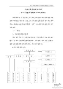 沙河股份：2010年度内部控制自我评价报告