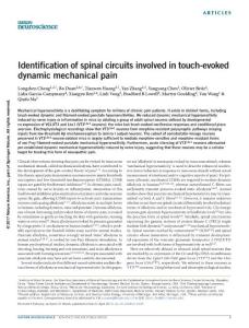 nn.4549-Identification of spinal circuits involved in touch-evoked dynamic mechanical pain