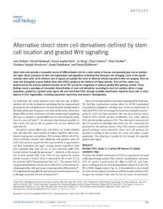 ncb3505-Alternative direct stem cell derivatives defined by stem cell location and graded Wnt signalling