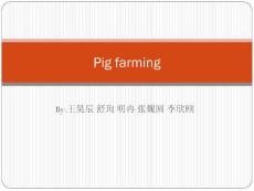 A pig’s life(revised)