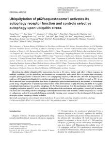 cr201740a-Ubiquitylation of p62-sequestosome1 activates its autophagy receptor function and controls selective autophagy upon ubiquitin stress