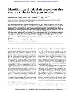 Genes Dev.-2017-Liao-Identification of hair shaft progenitors that create a niche for hair pigmentation