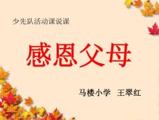 感恩父母-少先隊活動課說課ppt概要