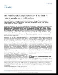 ncb3529-The mitochondrial respiratory chain is essential for haematopoietic stem cell function