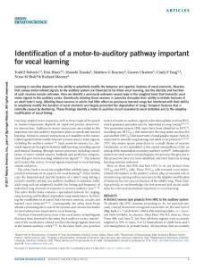 nn.4563-Identification of a motor-to-auditory pathway important for vocal learning