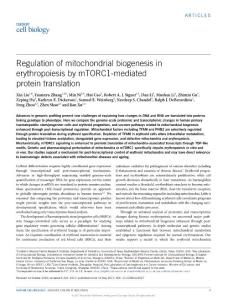 ncb3527-Regulation of mitochondrial biogenesis in erythropoiesis by mTORC1-mediated protein translation-article
