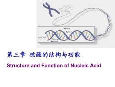 第3章核酸的结构与功能