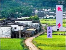 八年级语文下册 《散步》课件 苏教版