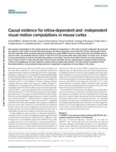 nn.4566-Causal evidence for retina-dependent and -independent visual motion computations in mouse cortex