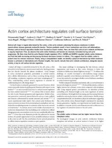 ncb3525-Actin cortex architecture regulates cell surface tension