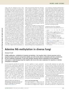 ng.3873-Adenine N6-methylation in diverse fungi