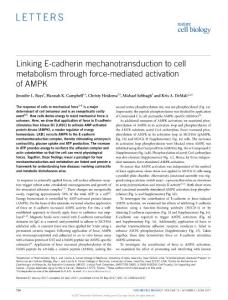 ncb3537-Linking E-cadherin mechanotransduction to cell metabolism through force-mediated activation of AMPK