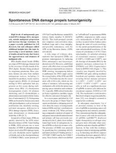 cr201743a-Spontaneous DNA damage propels tumorigenicity