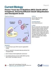 Current Biology_2017-Fission Yeast Apc15 Stabilizes MCC-Cdc20-APC-C Complexes, Ensuring Efficient Cdc20 Ubiquitination and Checkpoint Arrest