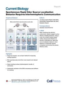 Current Biology_2017-Spontaneous Rapid Odor Source Localization Behavior Requires Interhemispheric Communication