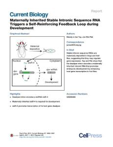 Current-Biology_2017_Maternally-Inherited-Stable-Intronic-Sequence-RNA-Triggers-a-Self-Reinforcing-Feedback-Loop-during-Development