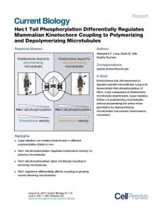 Current-Biology_2017_Hec1-Tail-Phosphorylation-Differentially-Regulates-Mammalian-Kinetochore-Coupling-to-Polymerizing-and-Depolymerizing-Microtubules