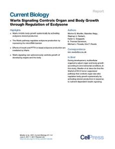 Current-Biology_2017_Warts-Signaling-Controls-Organ-and-Body-Growth-through-Regulation-of-Ecdysone