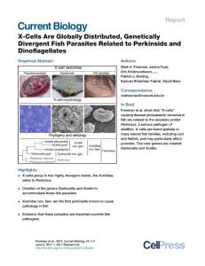 Current-Biology_2017_X-Cells-Are-Globally-Distributed-Genetically-Divergent-Fish-Parasites-Related-to-Perkinsids-and-Dinoflagellates