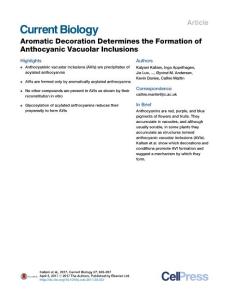 Current-Biology_2017_Aromatic-Decoration-Determines-the-Formation-of-Anthocyanic-Vacuolar-Inclusions