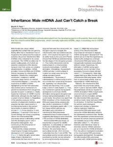 Current-Biology_2017_Inheritance-Male-mtDNA-Just-Can-t-Catch-a-Break