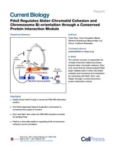 Current-Biology_2017_Pds5-Regulates-Sister-Chromatid-Cohesion-and-Chromosome-Bi-orientation-through-a-Conserved-Protein-Interaction-Module